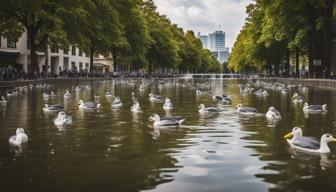 Waschbären breiten sich im Rhein-Main-Gebiet aus